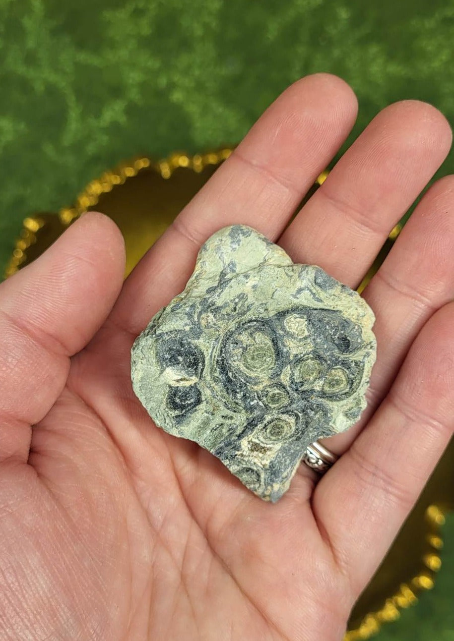 Raw Kambaba Jasper Chunk